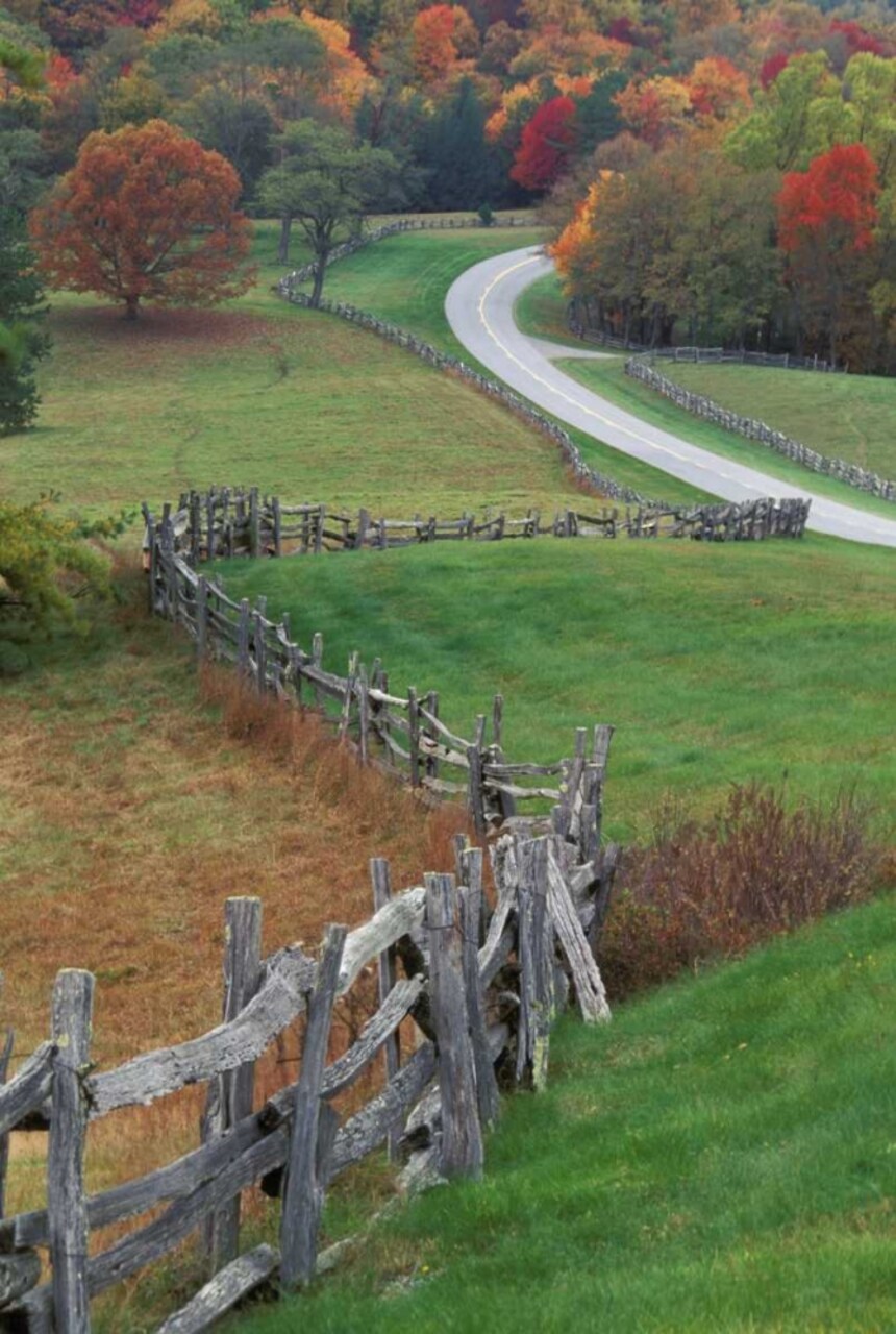 NC, Rail fence and country road in fall landscape by Nancy Rotenberg - Item # VARPDXUS34BJA0000